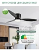Stylish 3 blade ceiling fans for modern interiors